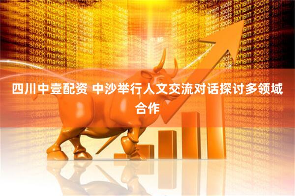 四川中壹配资 中沙举行人文交流对话探讨多领域合作