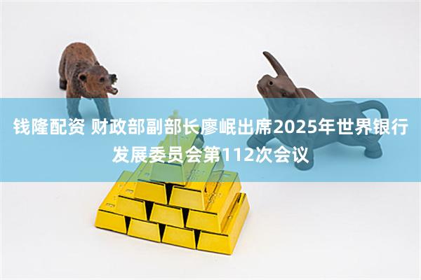 钱隆配资 财政部副部长廖岷出席2025年世界银行发展委员会第112次会议