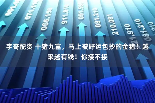 宇奇配资 十猪九富，马上被好运包抄的金猪！越来越有钱！你接不接